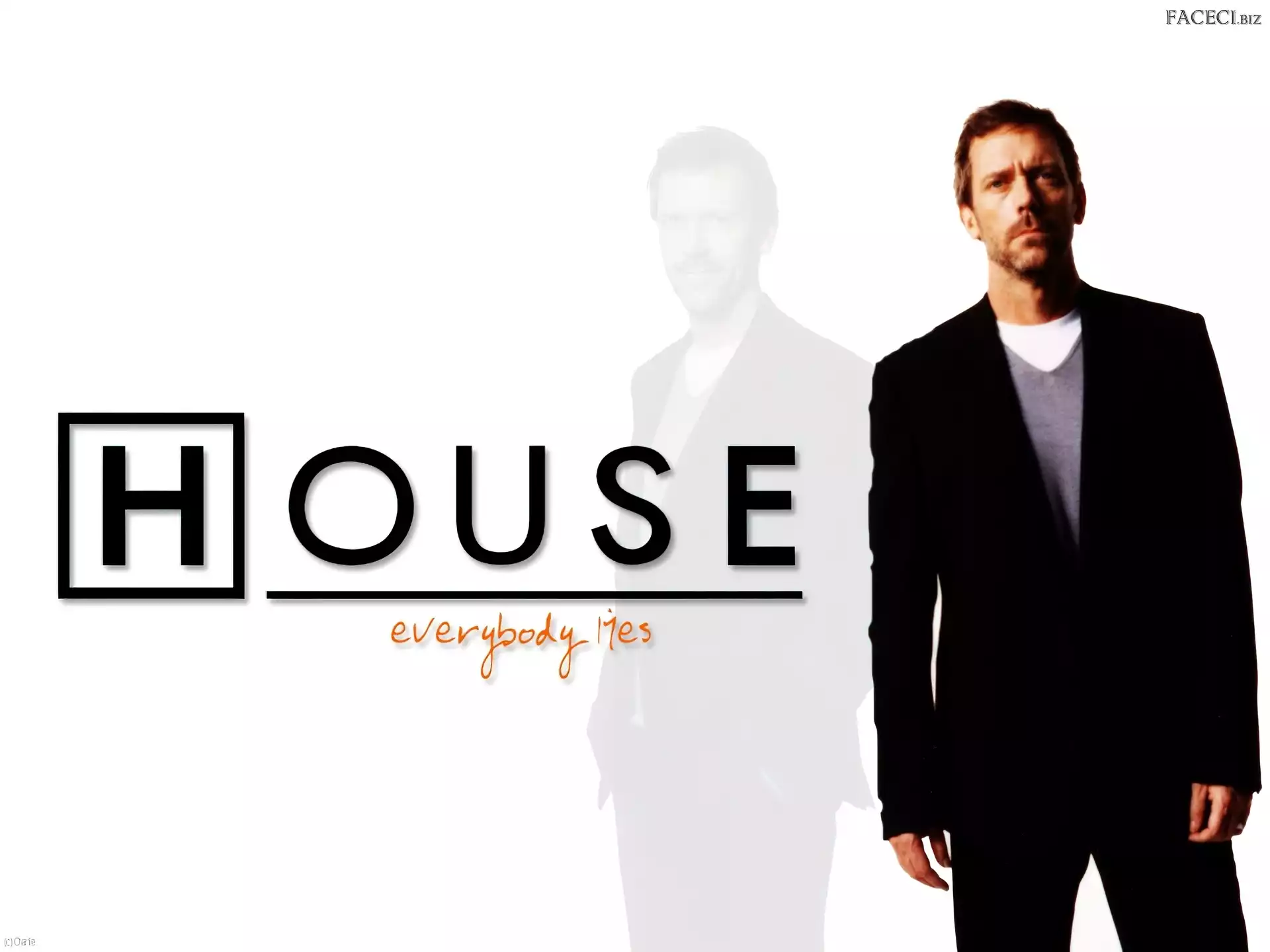 Hugh Laurie, Dr. House, Garnitur